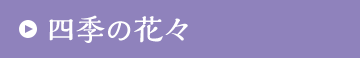 四季の花々