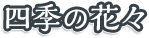 四季の花々
